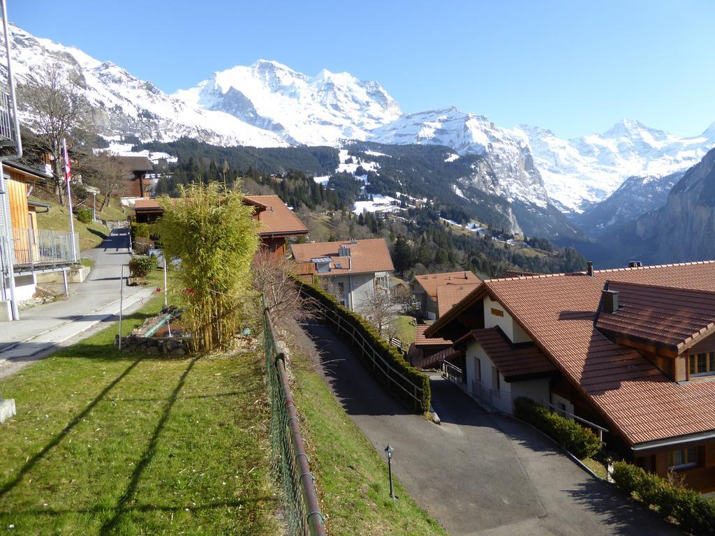 Chalet Gerbera Wengen Værelse billede