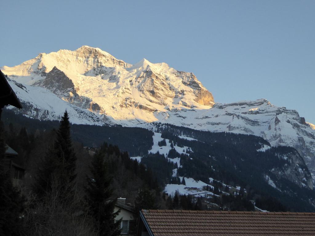 Chalet Gerbera Wengen Værelse billede