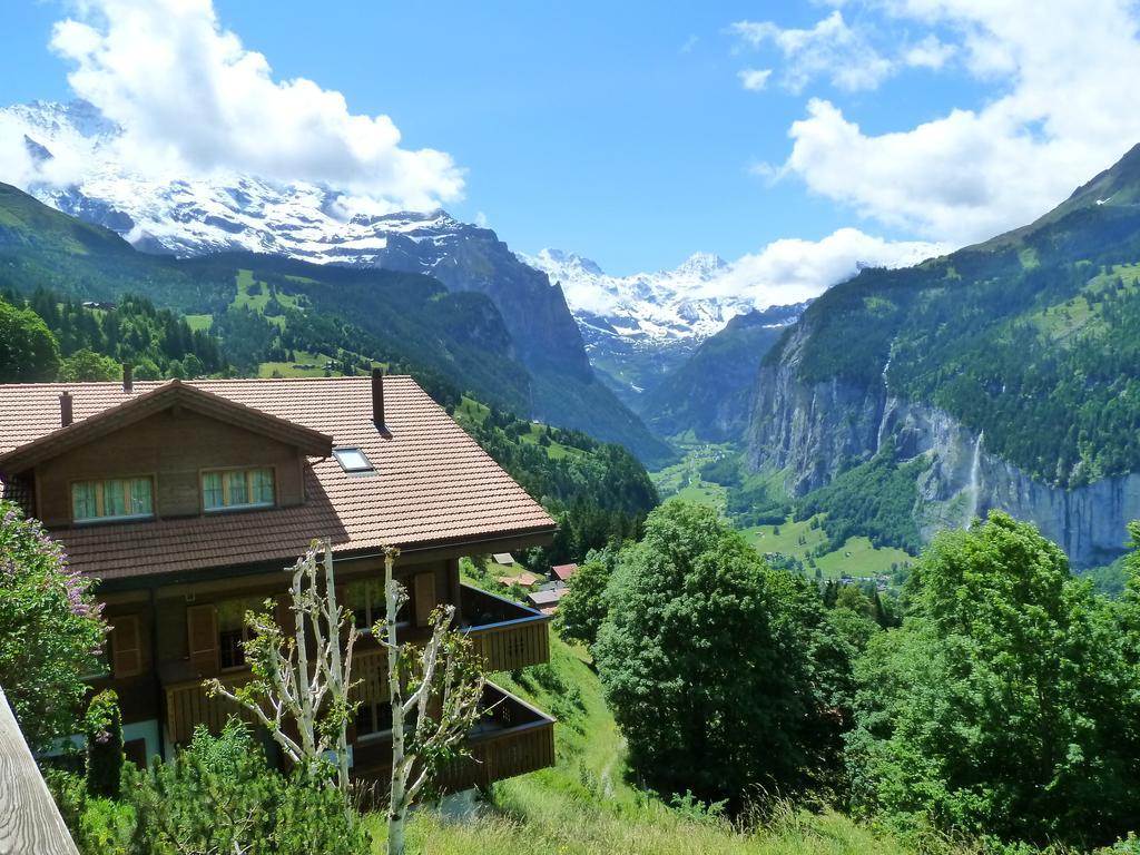 Chalet Gerbera Wengen Eksteriør billede