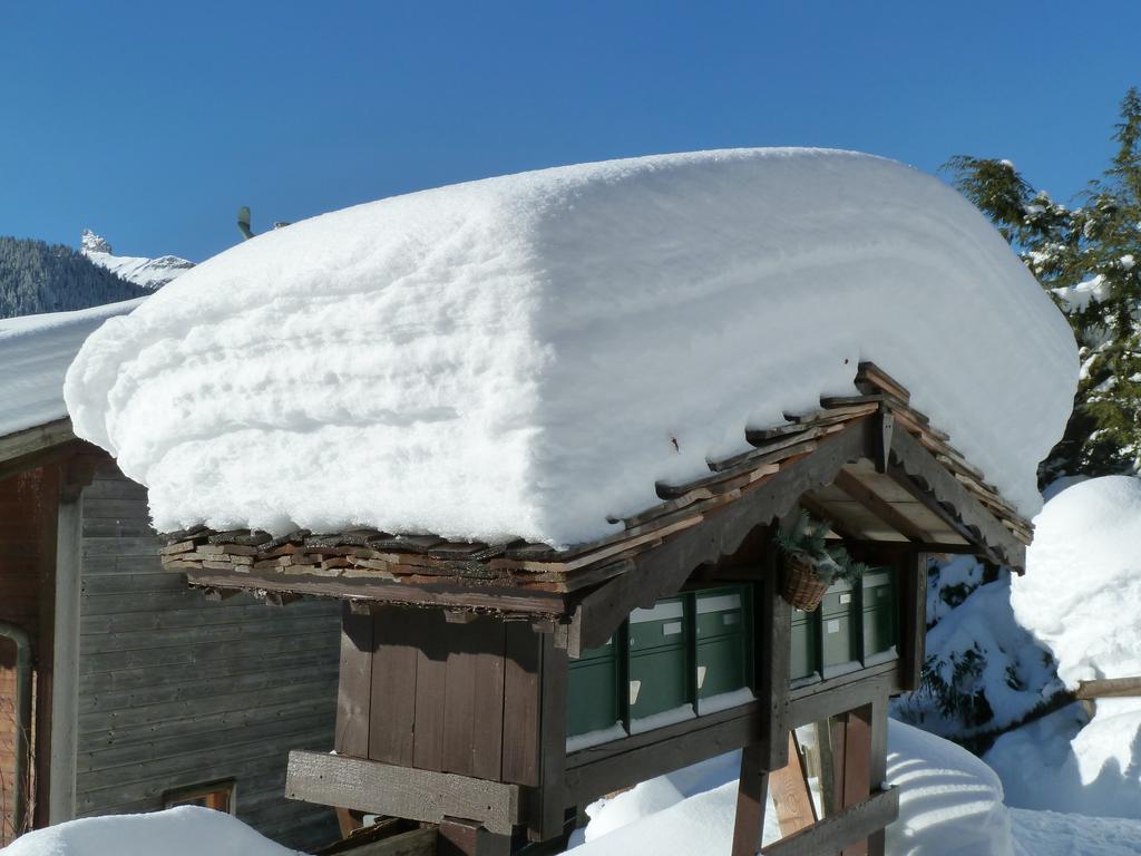 Chalet Gerbera Wengen Eksteriør billede