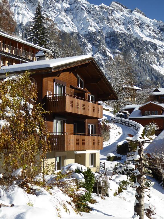 Chalet Gerbera Wengen Eksteriør billede