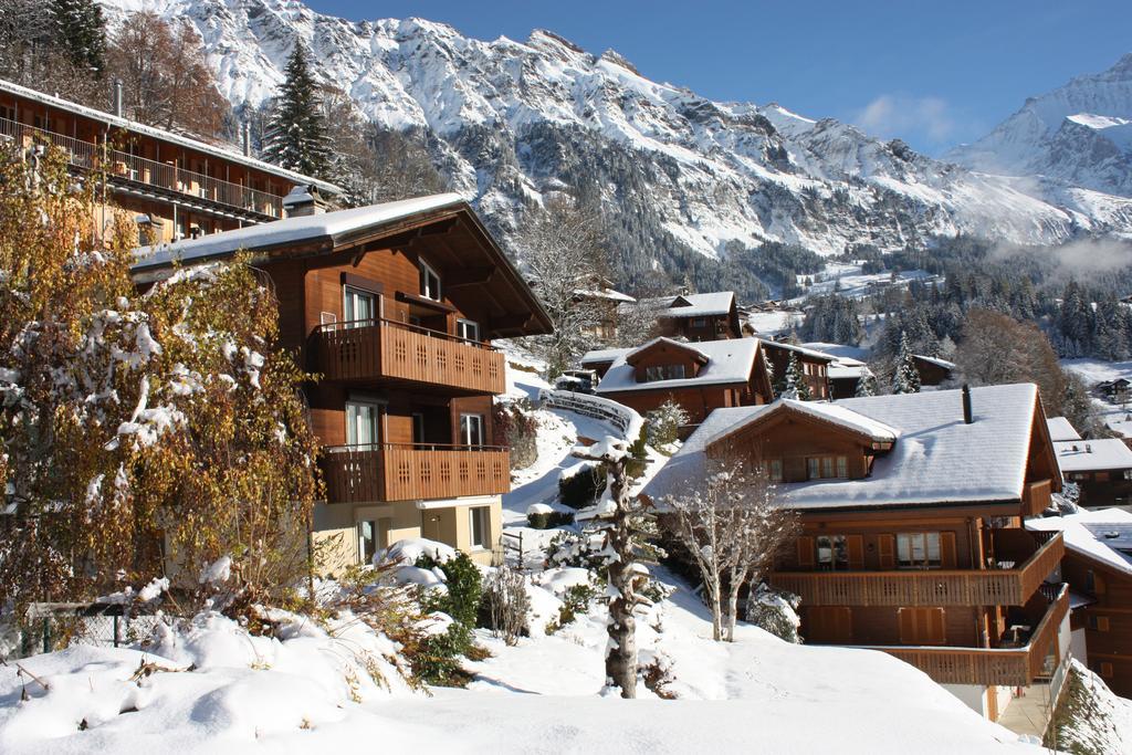 Chalet Gerbera Wengen Eksteriør billede