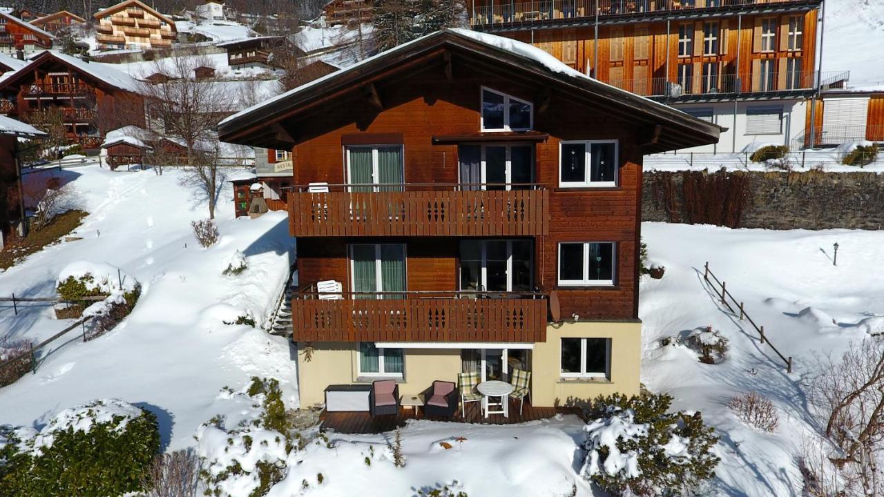 Chalet Gerbera Wengen Eksteriør billede